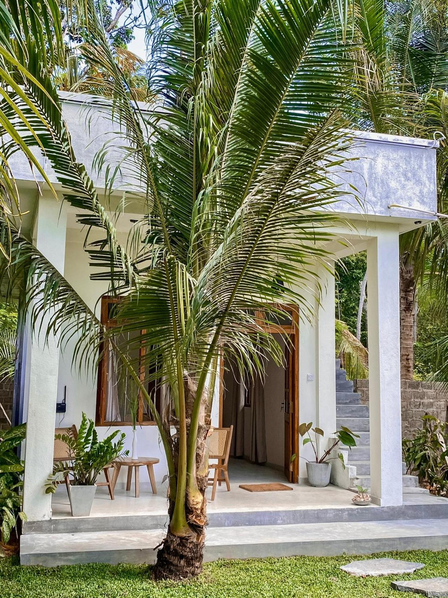 The Palm Private Cottages Midigama Timur Bagian luar foto